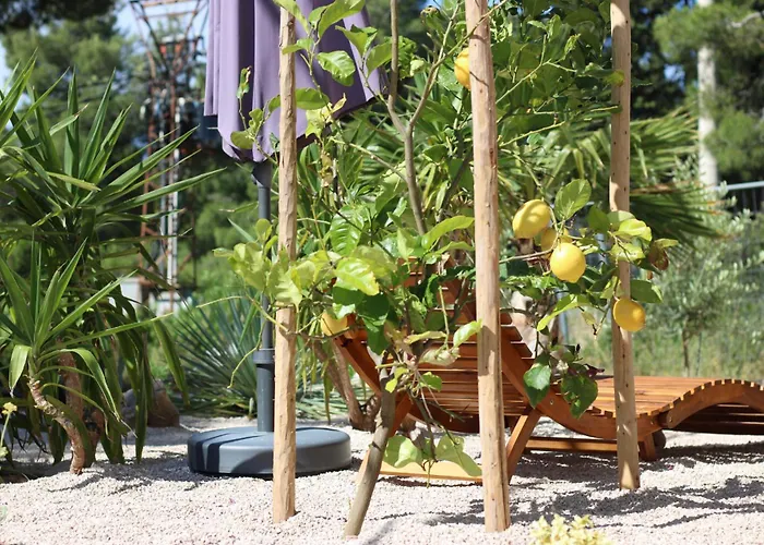 Miran Appartamento *